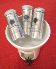 Aromatherapy Burner Set and Organic Winter Oils - 25% discount compared to buying oils individually