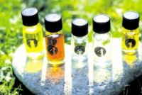 Organic HERBAL Cooking Essential Oils Kit - 25% discount