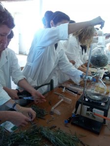 Organic Essential Oil Distillation workshop