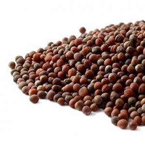 Organic Broccoli Seed Oil (Brassica oleracea italica)