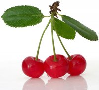 *NEW* Organic Cherry Kernel Oil (Prunus avium)