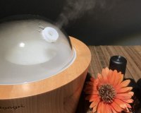 Beautiful Wooden Aromatherapy Diffuser with Glass Dome 